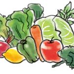 食物繊維の野菜と果物