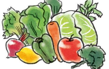 食物繊維の野菜と果物