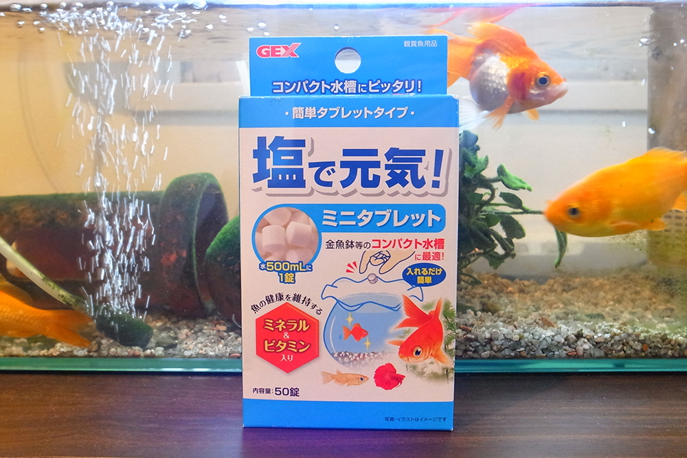 金魚 病気 塩 元気